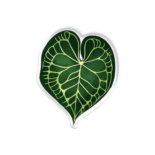 Magnificum Popup Stand Acrylic