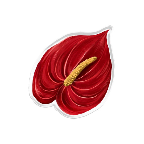 Anthurium Popup Stand Acrylic