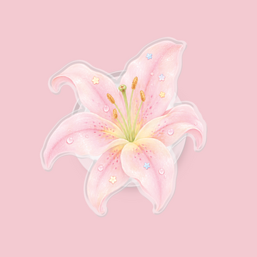 Dreamy Lily Magnetic Pop Up Stand - Clear