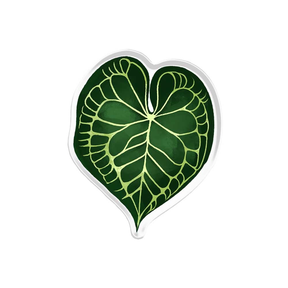 Magnificum Popup Stand Acrylic