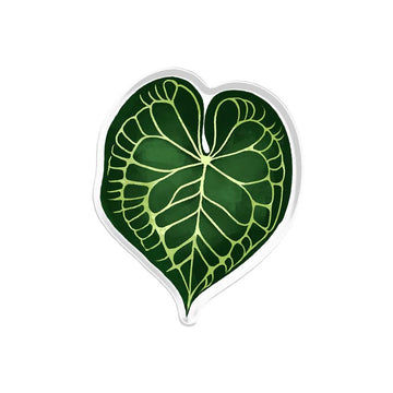 Magnificum Popup Stand Acrylic