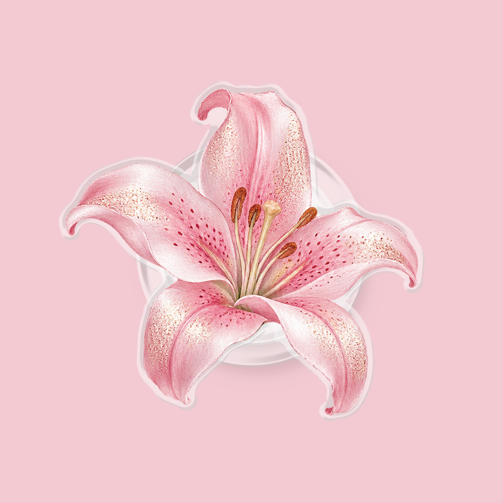 Shimmer Lily