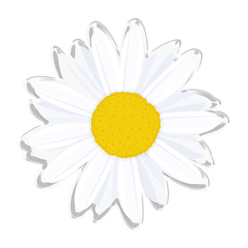 Daisy Flowers Popup Stand - Clear Transparant