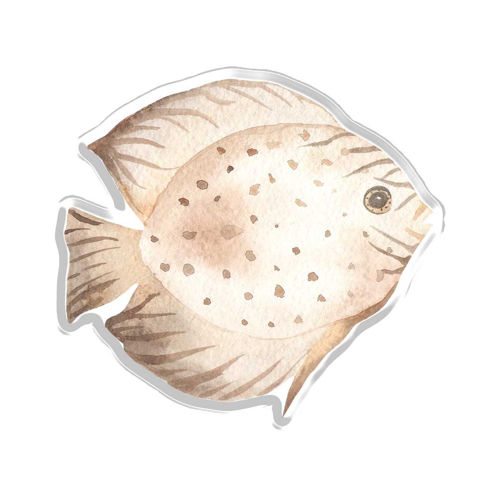 Beautiful Tangs