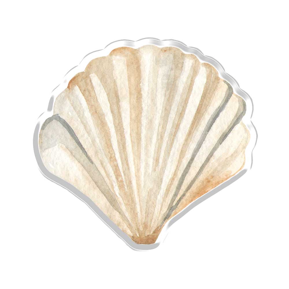 Pearl Shells Underwater