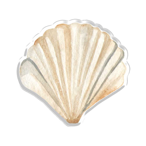 Pearl Shells Underwater