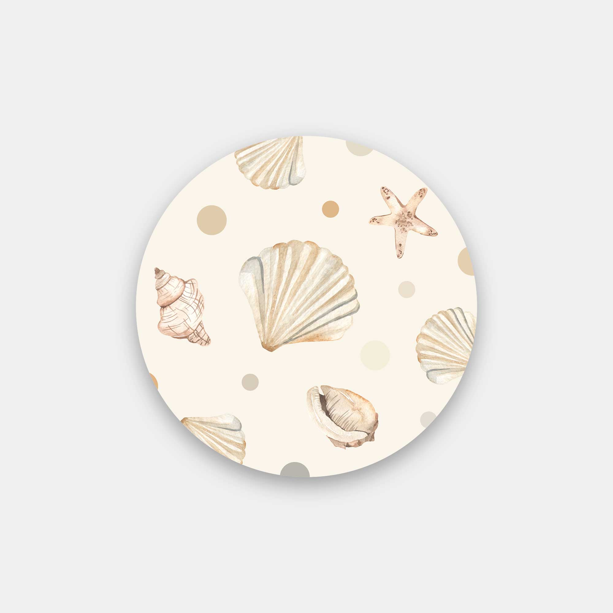 The Beautiful Shells & Starfish