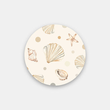 The Beautiful Shells & Starfish