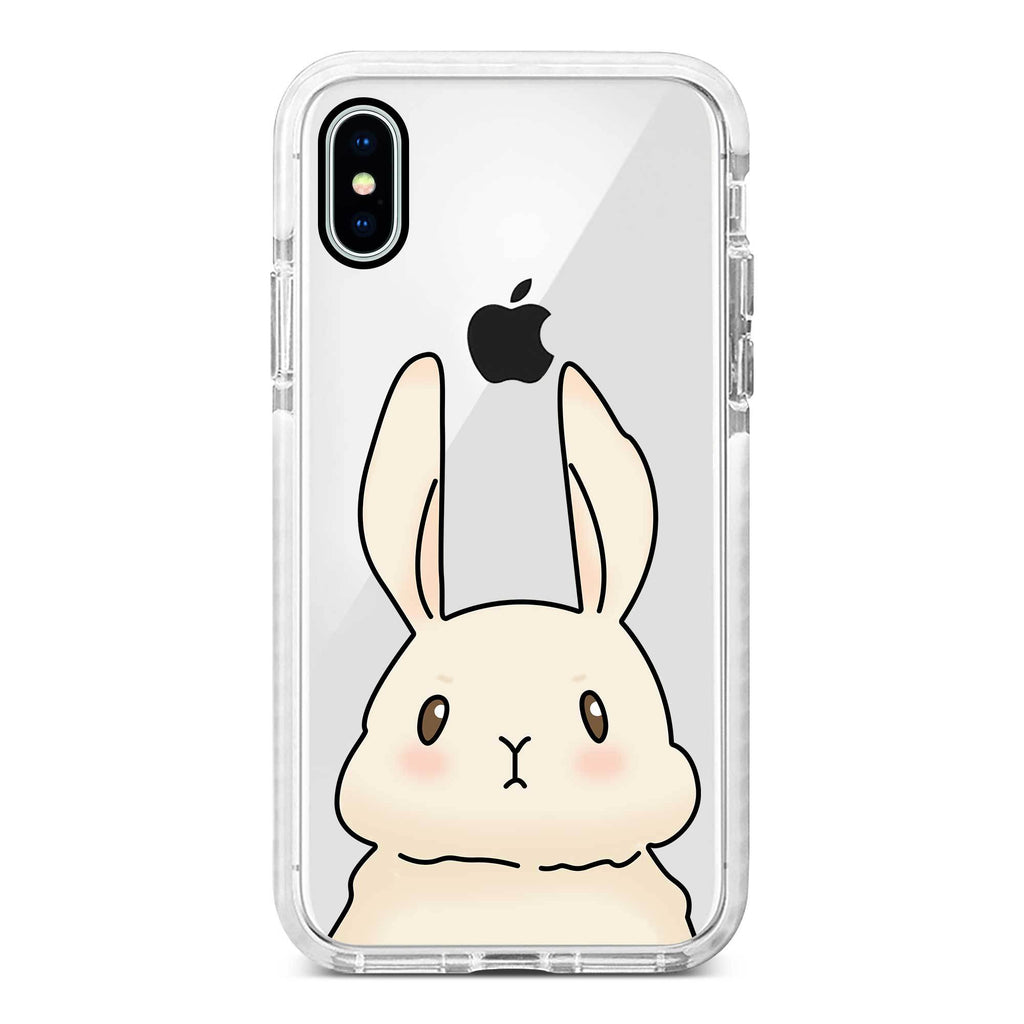 Case Rabbit 08